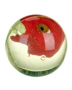 DINO WORLD LIGHT UP DINO BLINKER-HTI-1374145