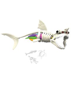 DISSECT IT SHARK KIT-JKR-38081