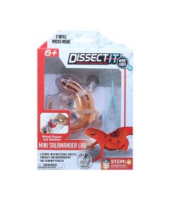 DISSECT-IT MINI SALAMANDER WITH MAGNIFYING GLASS-JKR-38085