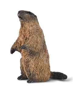 COLLECTA WILDLIFE SML MARMOT-COL-80044