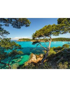 RAVENSBURGER 500PC PUZZLE LANDSCAPE-RVG-16583
