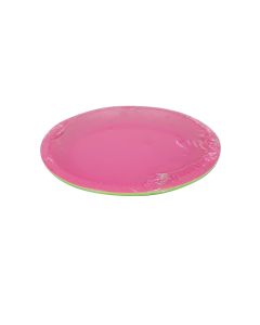 GIRLS REUSABLE PLATES 3 ASSORTED COLOURS-LCY-84759
