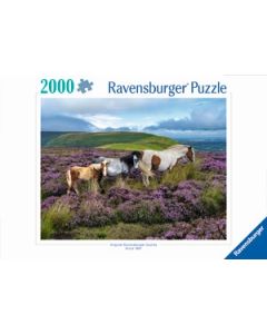 RAVENSBURGER 2000PC PUZZLE WILDPFERDE IN DER HEIDE-RVG-12001751