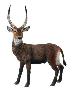 COLLECTA WILDLIFE LRG WATERBUCK-COL-88562