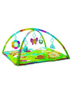 KIDS HITS ACTIVITY GYM HAPPY FARM-KDH-KH06-007