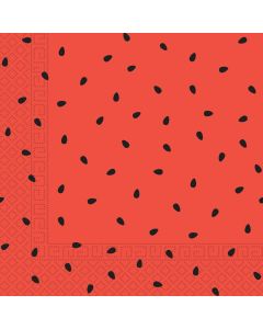WATERMELON TWO PLY PAPER NAPKINS 20CT-PRO-89408