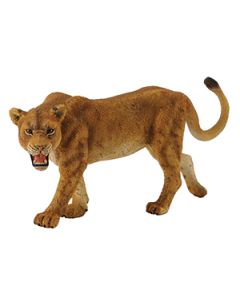 WILDLIFE-LIONESS -L-COL-88415