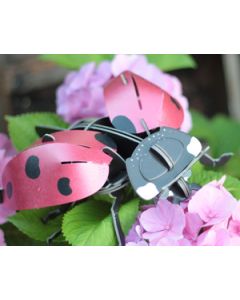 BUILD YOUR OWN - MINI BUILD - LADYBIRD-PE-BYOMB 002