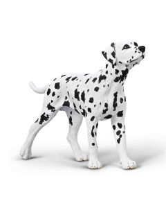 COLLECTA CATS & DOGS MED DALMATIAN-COL-80040
