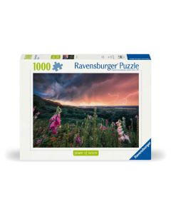 RAVENSBURGER 1000PC PUZZLE DREAMY THUNDER-RVG-12000793