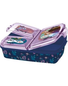 FROZEN TRUST THE JOURNEY MULTI COMPARTMENT SBOX-STO-83760